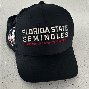 Nike Black Florida State Seminoles Dri Fit Hat